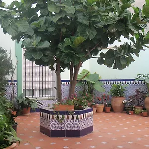 ** Guest house Drago Spain